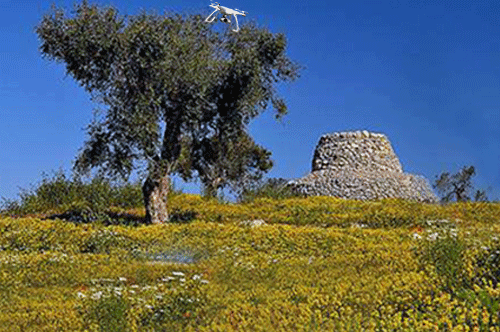 il nuraghe, l'oliveto e il drone