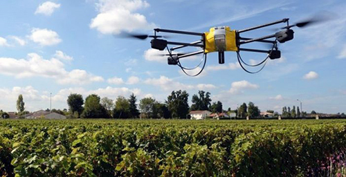 In toscana il "drone sentinella" protegge i vigneti