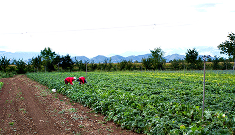 agricoltori