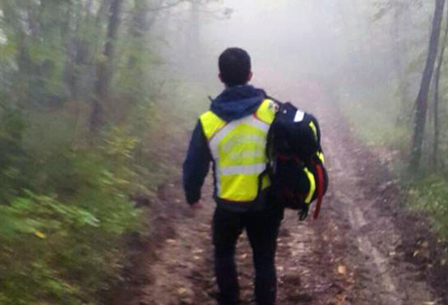 nebbia nel bosco di bettola