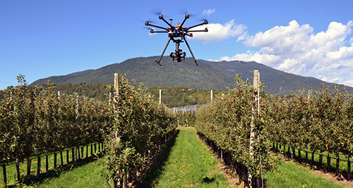 riprese con i droni per il monitoraggio dei vigneti